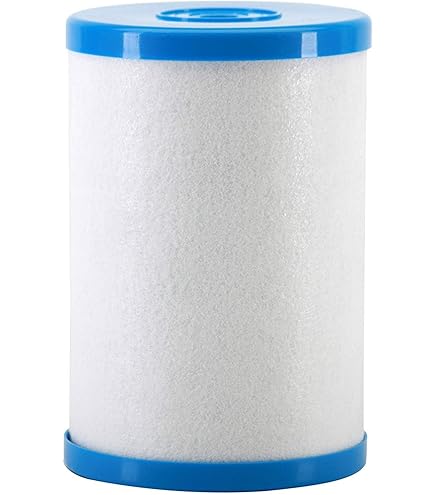 Amazon.com: Genuine Multipure CB6 Replacement Filter : Tools